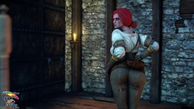 A Cold Winters Night - a Witcher 3 Short [aardvarkianparadise]