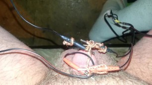 Electro Torture my Tiny Penis Plz Comment Humiliate it Plz