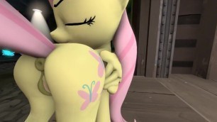 Fluttershy Farts